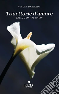 Traiettorie d'amore. Dallo Zenit al Nadir libro