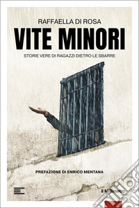 Vite minori. Storie vere di ragazzi dietro le sbarre libro
