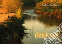Amalunes. Storie di Malone libro