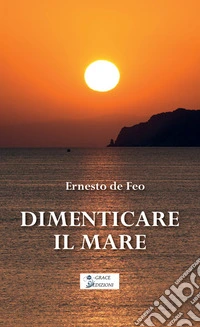 Dimenticare il mare libro