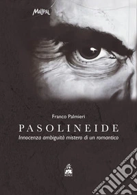 Pasolineide. Innocenza ambiguità mistero di un romantico libro