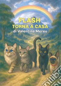 Flash torna a casa. Ediz. illustrata libro