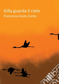 Gilla guarda il cielo