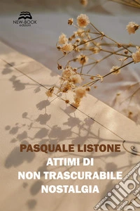 Attimi di non trascurabile nostalgia libro