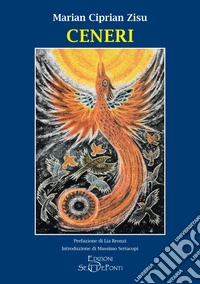 Ceneri libro
