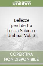 Bellezze perdute tra Tuscia Sabina e Umbria. Vol. 3 libro