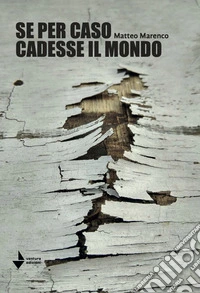 Se per caso cadesse il mondo libro