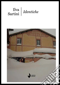 Identiche libro