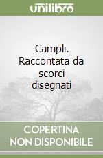 Campli. Raccontata da scorci disegnati libro