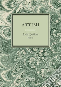 Attimi libro