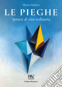 Le pieghe. Sprazzi di vita ordinaria libro