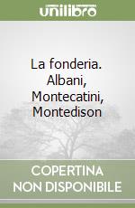 La fonderia. Albani, Montecatini, Montedison libro