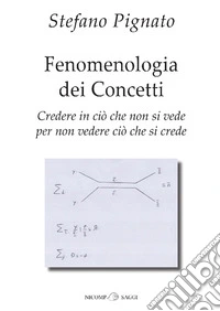 Fenomenologia dei concetti. Credere in ciò che non si vede per non vedere ciò che si crede