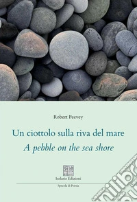 Un ciottolo sulla riva del mare. A pebble on the sea shore. Ediz. multilingue libro