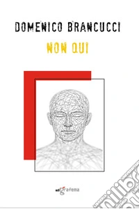 Non qui libro