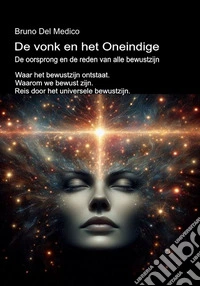 De vonk en het Oneindige. De oorsprong en de reden van alle bewustzijn. Waar het bewustzijn ontstaat. Waarom we bewust zijn. Reis door het universele bewustzijn. libro