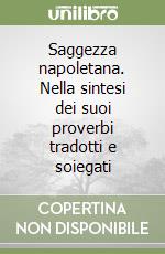 Saggezza napoletana. Nella sintesi dei suoi proverbi tradotti e soiegati libro