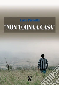 Non torna a casa libro