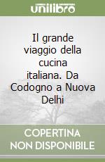 Il grande viaggio della cucina italiana. Da Codogno a Nuova Delhi libro