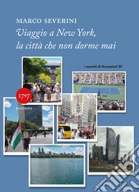 Viaggio a New York, la città che non dorme mai libro