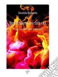 Non abbiamo una sola vita. Viaggio narrativo in più dimensioni libro