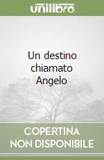 Un destino chiamato Angelo libro