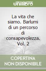 La vita che siamo. Barlumi di un percorso di consapevolezza. Vol. 2 libro