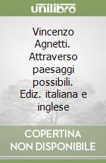 Vincenzo Agnetti. Attraverso paesaggi possibili. Ediz. italiana e inglese libro
