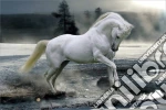 Bob Langrish: Horse Snow (Poster Maxi 61x91,5 Cm) poster