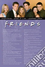 Friends  (Everything I Know) Maxi Poster poster