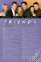 Friends  (Everything I Know) Maxi Poster poster