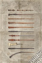 Harry Potter (The Wand Chooses The Wizard) Maxi (Poster) poster