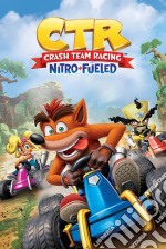 Crash Team Racing (Race) Maxi Poster (Stampa) poster di Pyramid