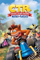 Crash Team Racing (Race) Maxi Poster (Stampa) poster