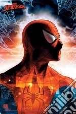 Spider-Man (Protector Of The City) Maxi Poster (Stampa) poster di Pyramid