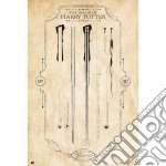 Harry Potter The Wand (Maxi Poster 61x91,50 Cm) poster di Grupo Erik