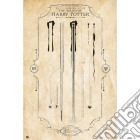 Harry Potter The Wand (Maxi Poster 61x91,50 Cm) poster