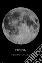 Moon (Maxi Poster 61x91,50 Cm) poster di Grupo Erik