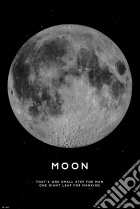 Moon (Maxi Poster 61x91,50 Cm) poster