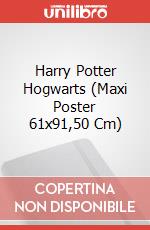 Harry Potter Hogwarts (Maxi Poster 61x91,50 Cm) poster di Grupo Erik