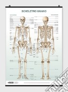 Poster scheletro umano poster