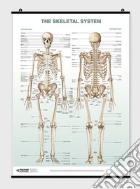Skeletal system poster (The) poster