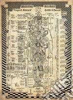 Anatomiae Occultii. Anatomia Occulta (poster)