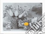 Yellow And Parrot Tulips poster di FLORAL COLECTION