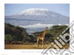 Kimana Area - Kenya poster di Daryl Balfour