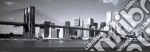 Fiume Hudson Brooklyng Bridge New York, USA poster di JEFF LEPORE