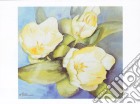 Ewhite Tulips, 2000 poster