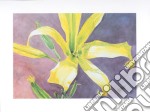 Yellow Daylily, 1999 poster di MAUD DURLAND