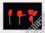 Tulips, 2000 poster di MINA SELIS