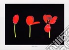 Tulips, 2000 poster